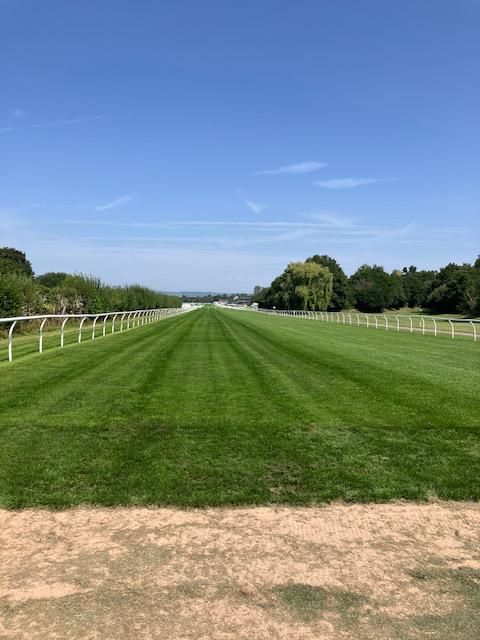 Lingfield Racecourse